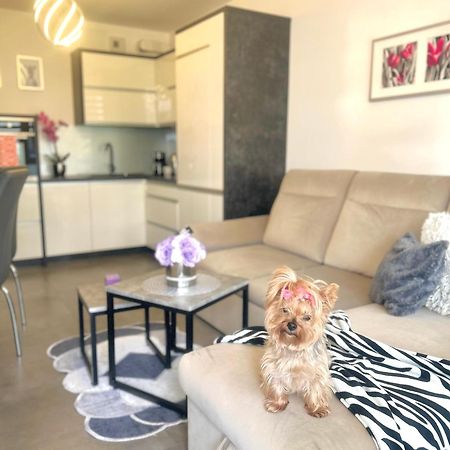 Downtown Apartments Family&Friends Rzeszow Luaran gambar