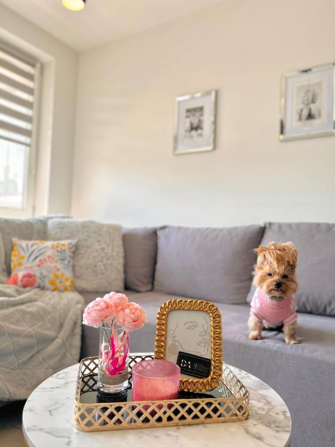 Downtown Apartments Family&Friends Rzeszow Luaran gambar