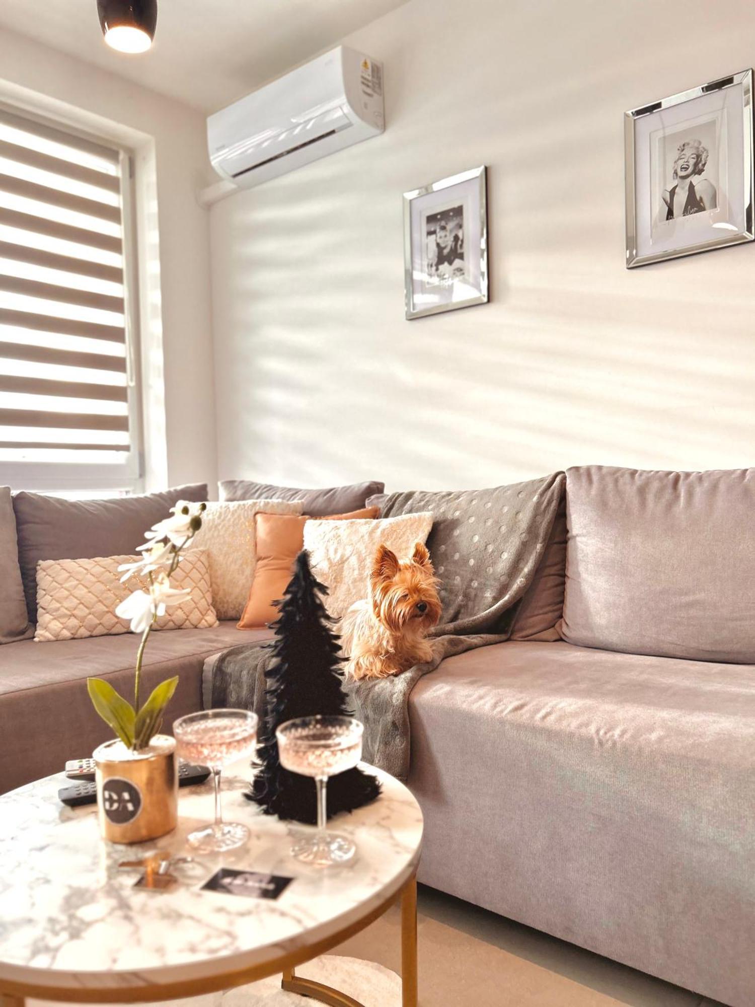 Downtown Apartments Family&Friends Rzeszow Luaran gambar