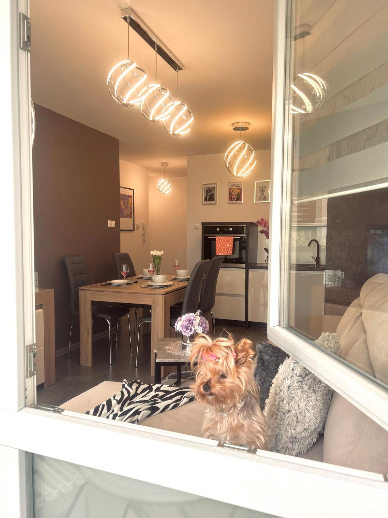 Downtown Apartments Family&Friends Rzeszow Luaran gambar